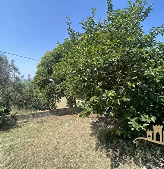 Foto annuncio 14