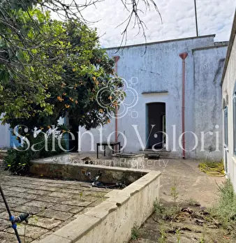 Foto annuncio 19