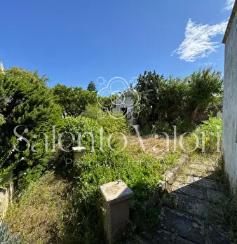 Foto annuncio 24