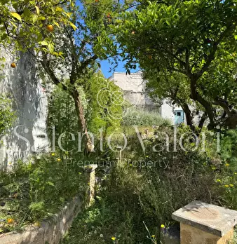 Foto annuncio 26
