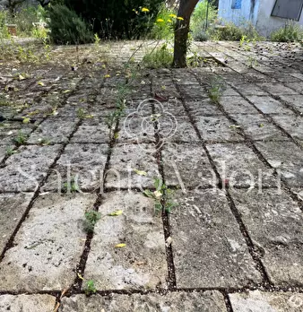 Foto annuncio 38