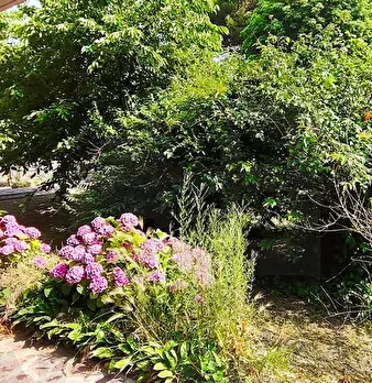 Foto annuncio 29