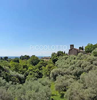 Foto annuncio 3