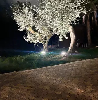 Foto annuncio 44