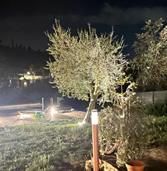 Foto annuncio 53
