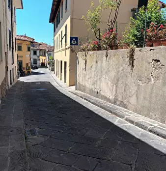 Foto annuncio 55
