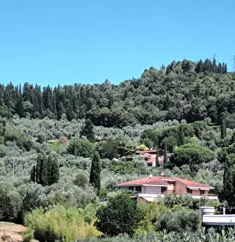 Foto annuncio 57