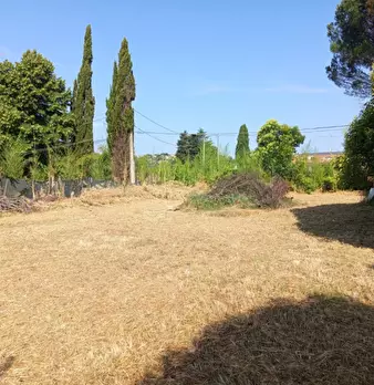 Foto annuncio 4