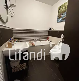 Foto annuncio 11
