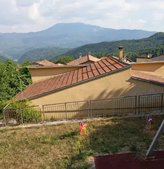Foto annuncio 1