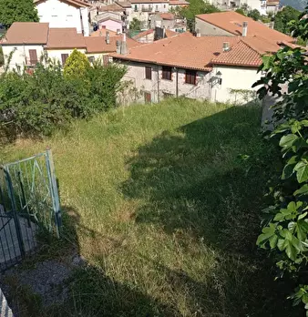 Foto annuncio 7
