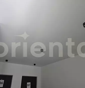 Foto annuncio 24