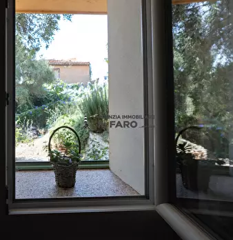 Foto annuncio 35