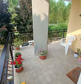 Foto annuncio 10