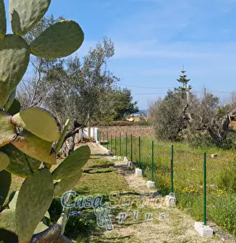 Foto annuncio 8