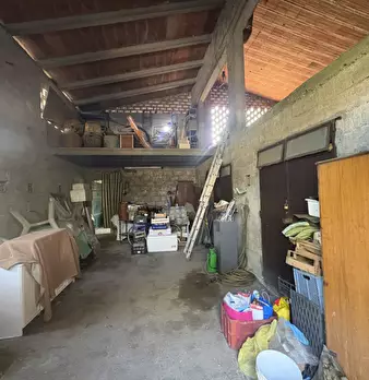 Foto annuncio 49