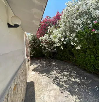 Foto annuncio 38