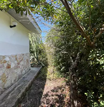 Foto annuncio 41