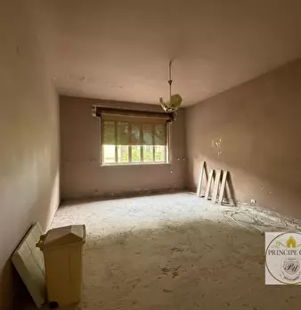 Foto annuncio 30