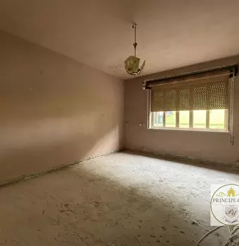 Foto annuncio 34