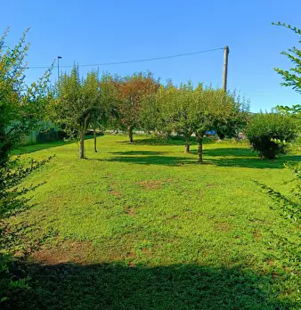 Foto annuncio 8