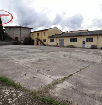 Foto annuncio 7