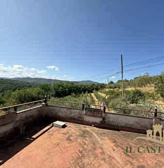 Foto annuncio 12