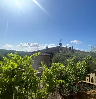 Foto annuncio 14