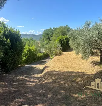 Foto annuncio 15