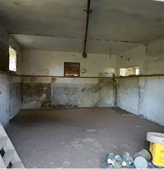 Foto annuncio 7