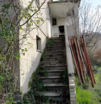 Foto annuncio 10