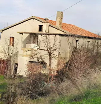 Foto annuncio 11