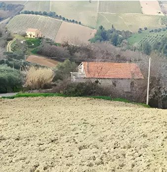 Foto annuncio 12