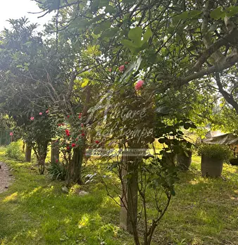 Foto annuncio 22