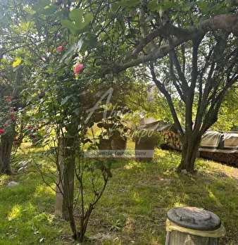Foto annuncio 23