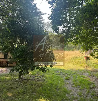 Foto annuncio 24