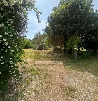 Foto annuncio 31