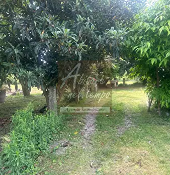 Foto annuncio 33