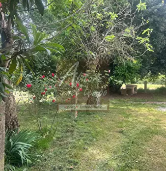 Foto annuncio 34