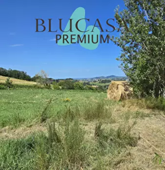 Foto annuncio 69
