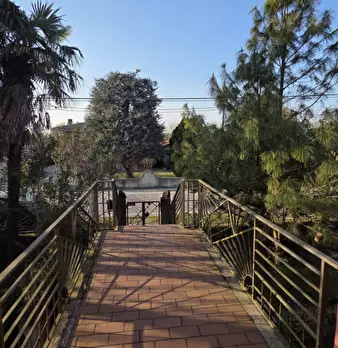 Foto annuncio 9