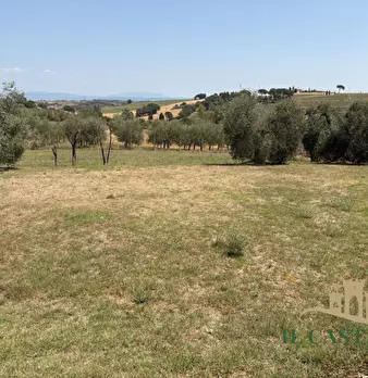 Foto annuncio 34