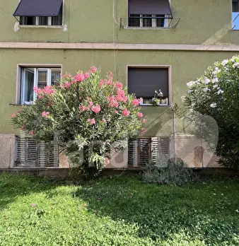 Foto annuncio 7