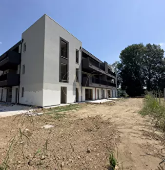 Foto annuncio 23