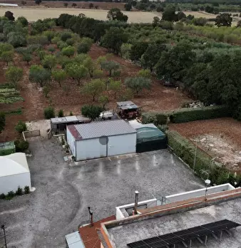 Foto annuncio 108
