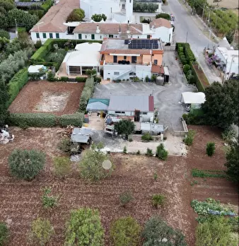 Foto annuncio 110