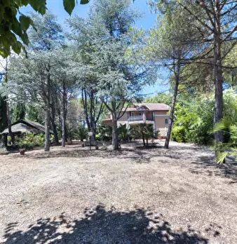 Foto annuncio 57