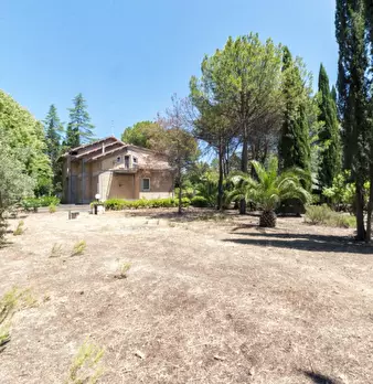 Foto annuncio 58