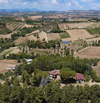 Foto annuncio 70