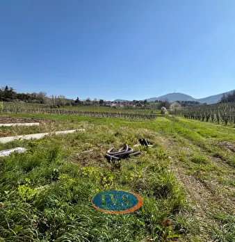 Foto annuncio 23
